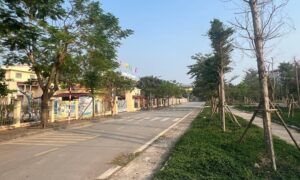 Image00120241121114935